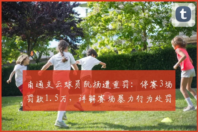 南通支云球员阮杨遭重罚:停赛3场罚款1.5万,详解赛场暴力行为处罚标准